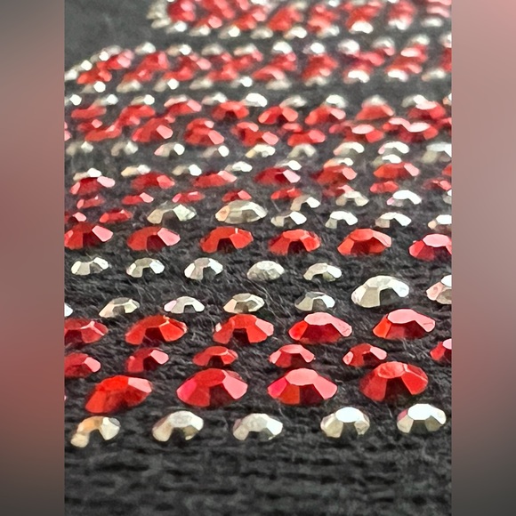 Wisconsin Badgers Long Sleeve Crewneck with Rhinestones | Recycled Karma | M/L - Picture 8 of 15